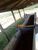 Fazenda, 170 hectares - Foto 3