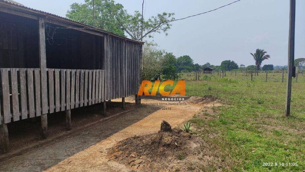 Sítio, 38 hectares - Foto 4