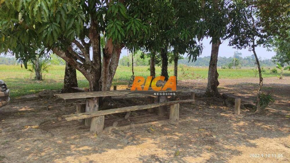 Sítio, 38 hectares - Foto 3