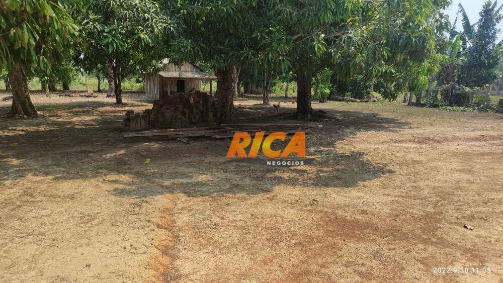 Sítio, 38 hectares - Foto 2