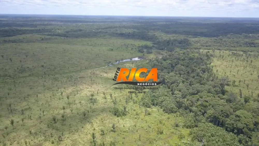 Fazenda, 300 hectares - Foto 7
