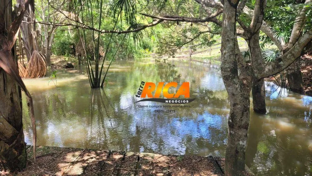 Fazenda, 300 hectares - Foto 11