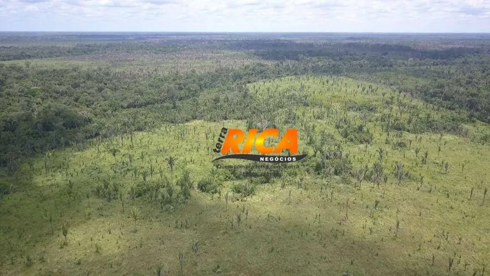 Fazenda, 300 hectares - Foto 6