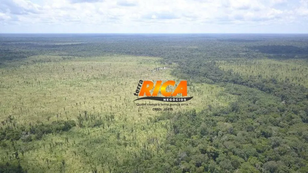 Fazenda, 300 hectares - Foto 8