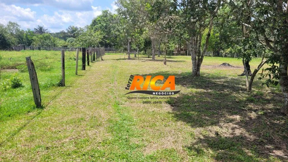 Fazenda, 300 hectares - Foto 12