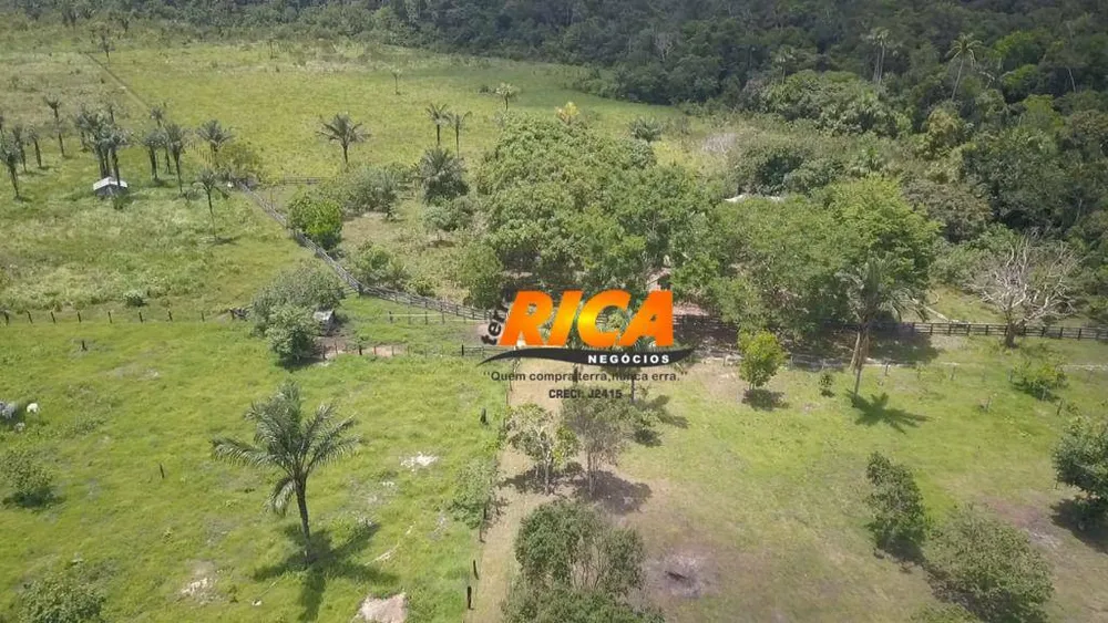 Fazenda, 300 hectares - Foto 2