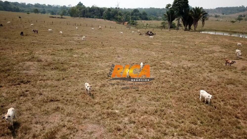 Fazenda, 181 hectares - Foto 29