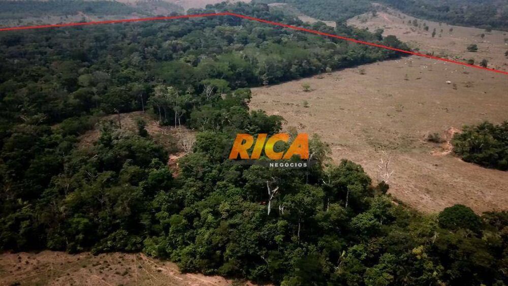 Fazenda, 181 hectares - Foto 6