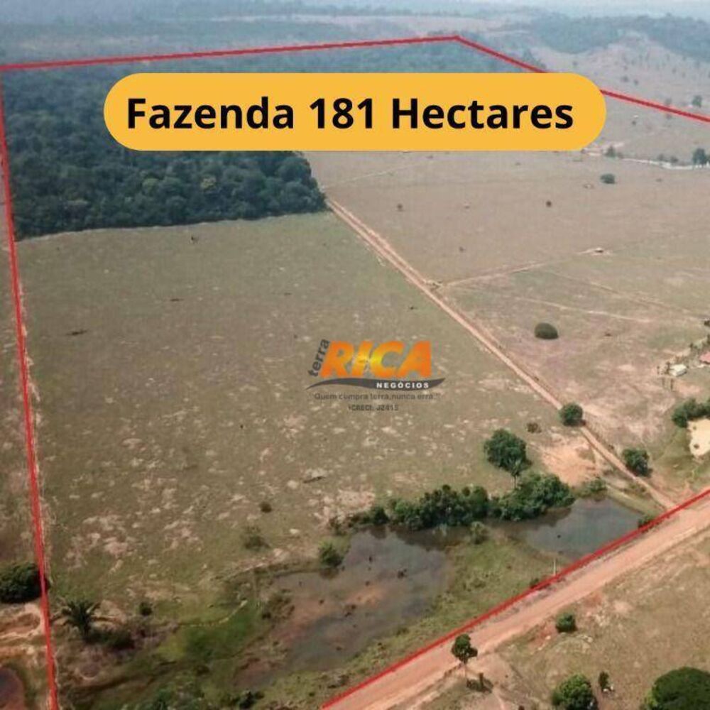 Fazenda, 181 hectares - Foto 15