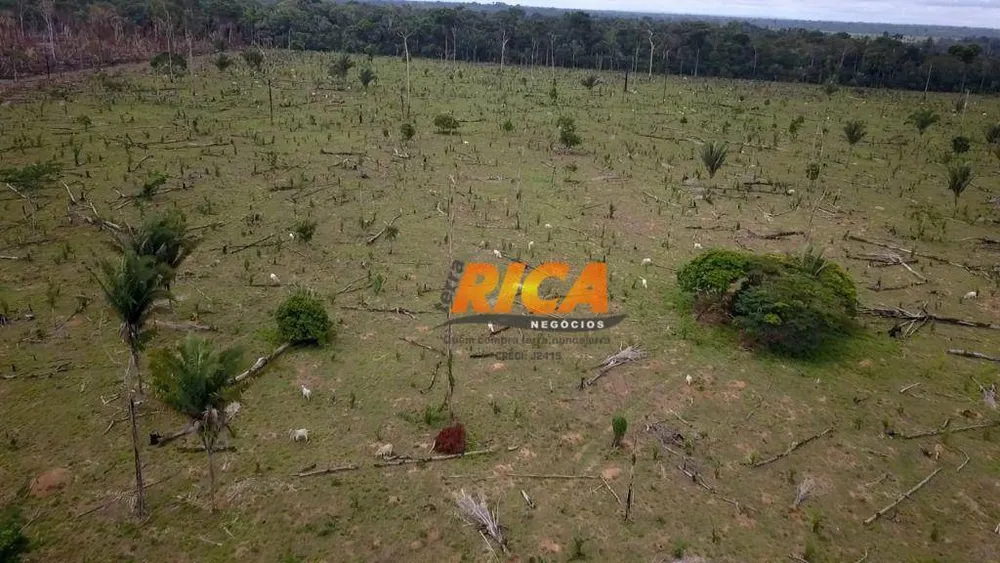 Fazenda, 101 hectares - Foto 10