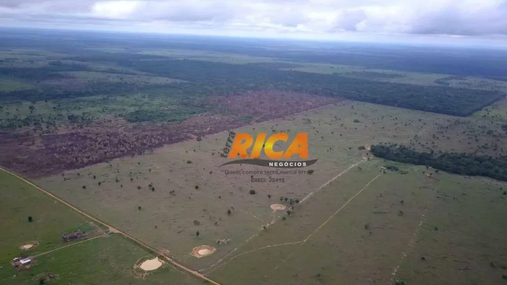 Fazenda, 101 hectares - Foto 3