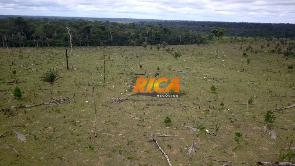 Fazenda, 101 hectares - Foto 4