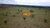 Fazenda, 101 hectares - Foto 4