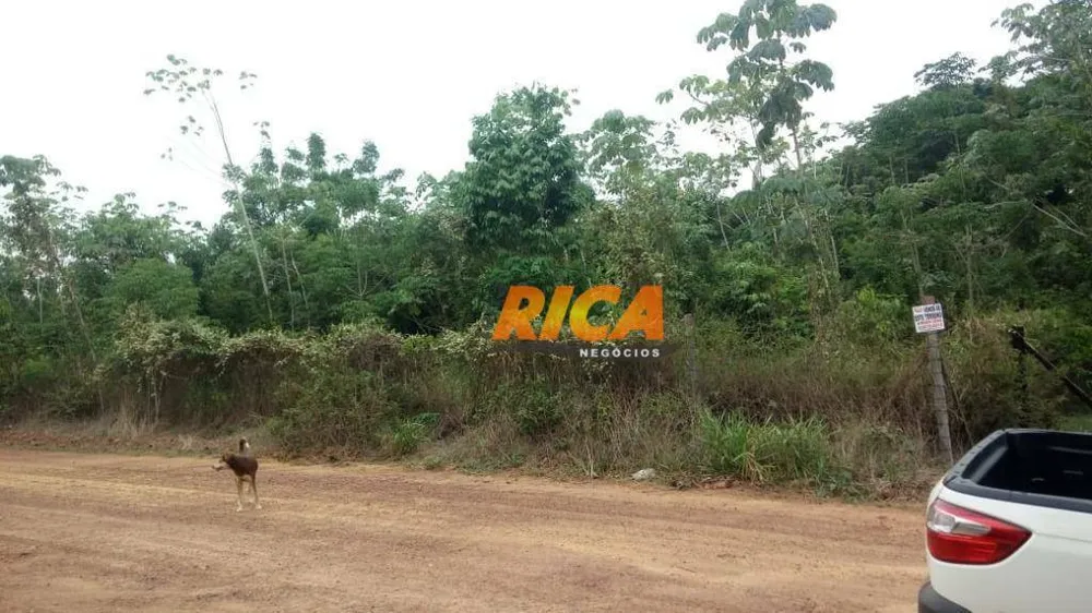 Chácara, 1 quarto, 5000 m² - Foto 6