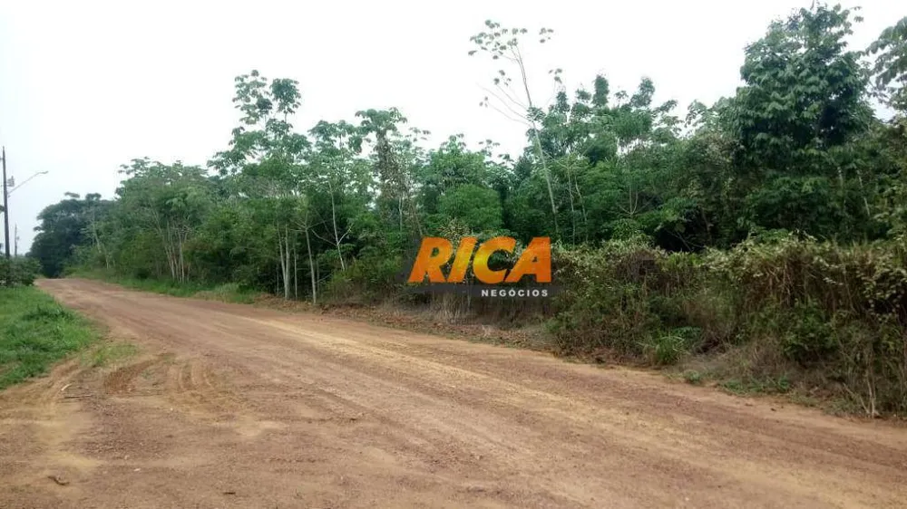 Chácara, 1 quarto, 5000 m² - Foto 5