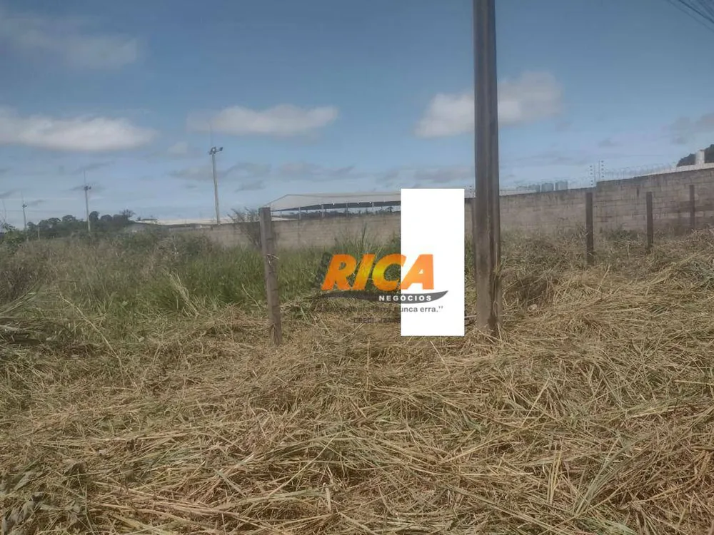Terreno, 6 hectares - Foto 4
