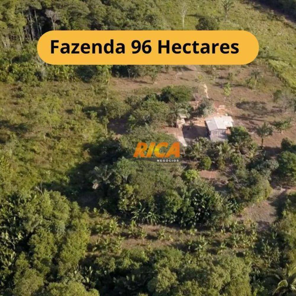 Fazenda, 96 hectares - Foto 1