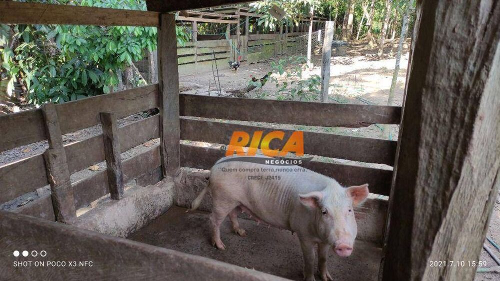 Fazenda, 96 hectares - Foto 3