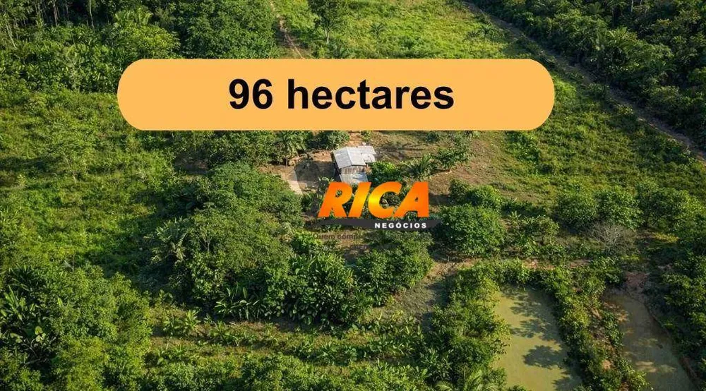 Fazenda, 96 hectares - Foto 4