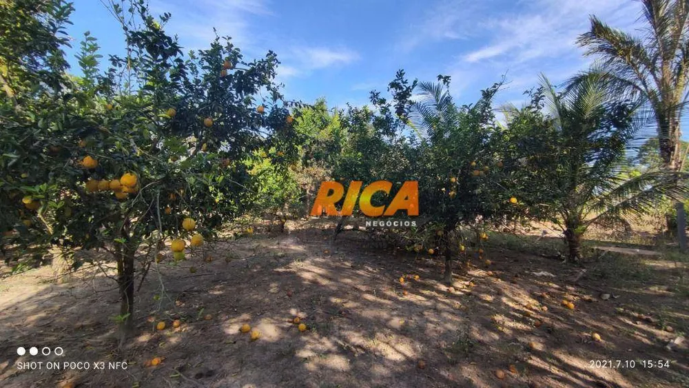 Fazenda, 96 hectares - Foto 3
