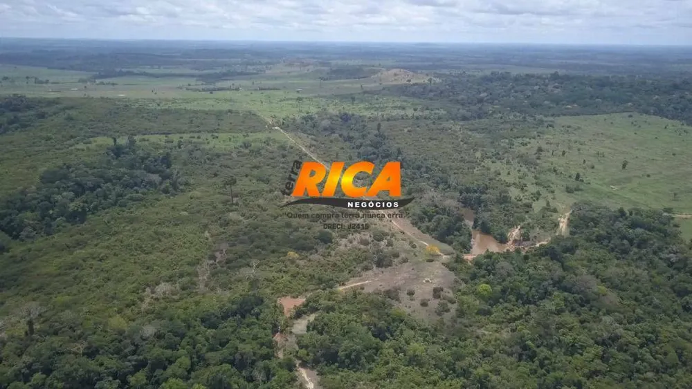 Fazenda, 984 hectares - Foto 7