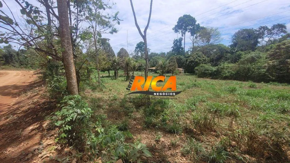 Fazenda, 984 hectares - Foto 3