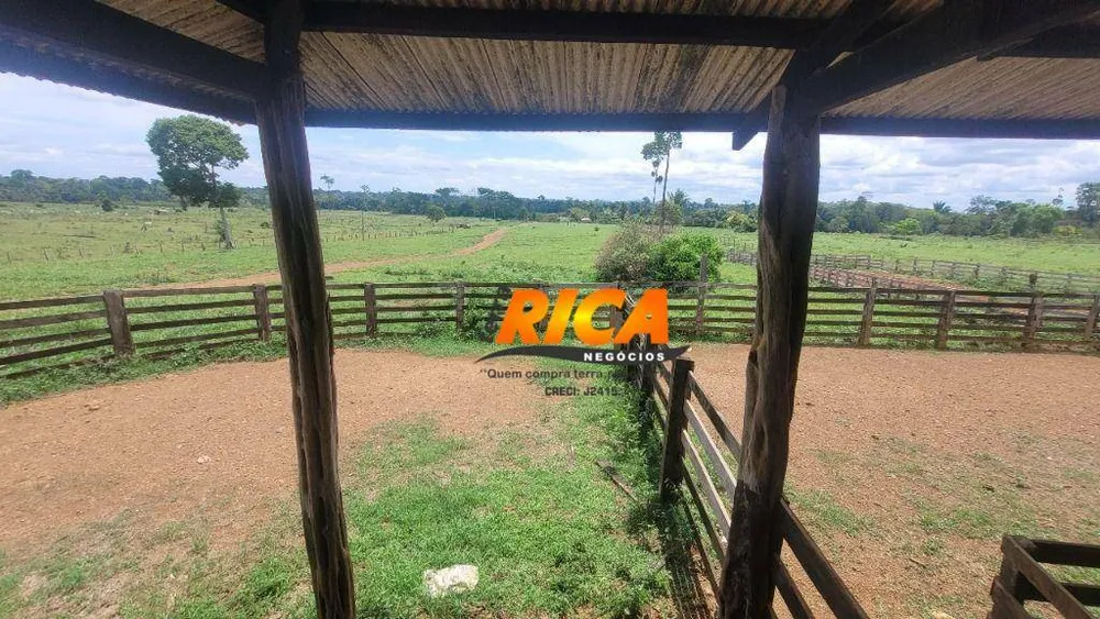 Fazenda, 984 hectares - Foto 9
