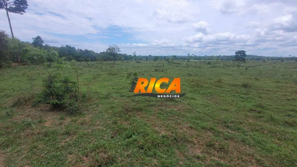 Fazenda, 984 hectares - Foto 15