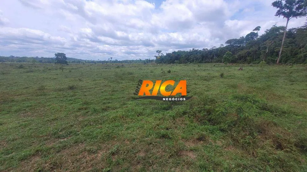 Fazenda, 984 hectares - Foto 12