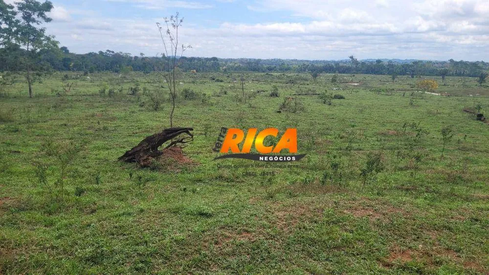 Fazenda, 984 hectares - Foto 10