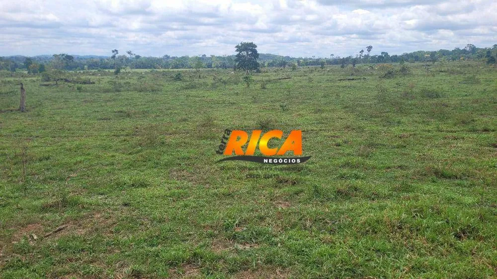 Fazenda, 984 hectares - Foto 2