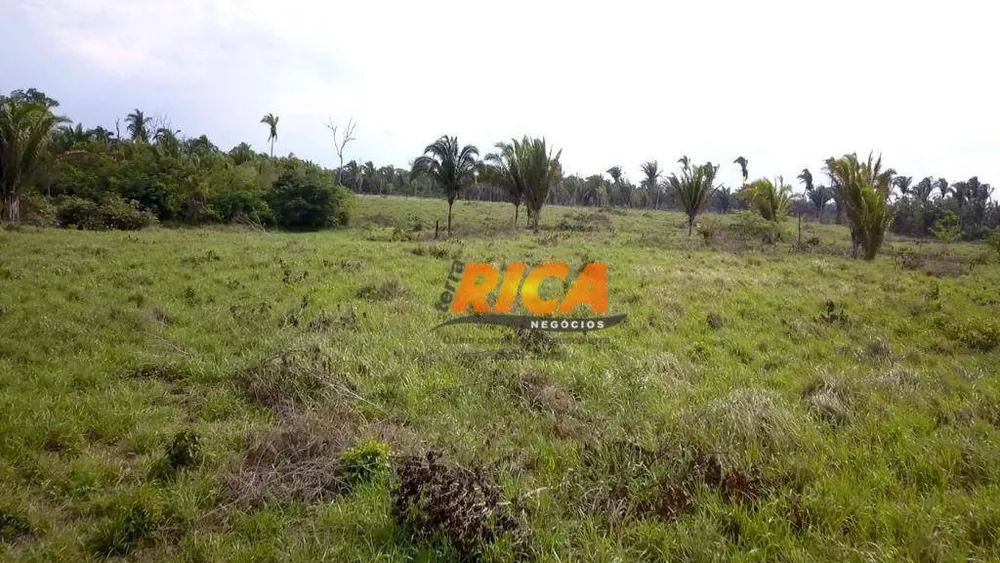 Fazenda, 200 hectares - Foto 4