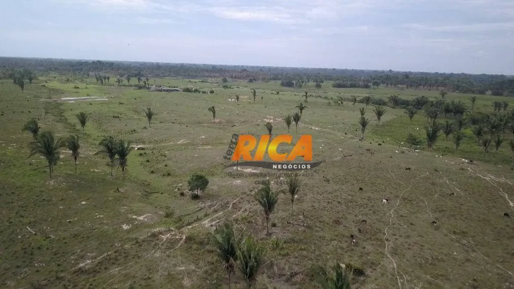 Fazenda, 200 hectares - Foto 13
