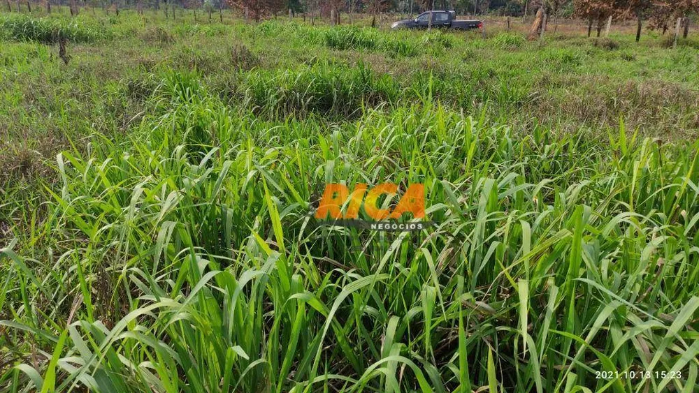 Fazenda, 200 hectares - Foto 3