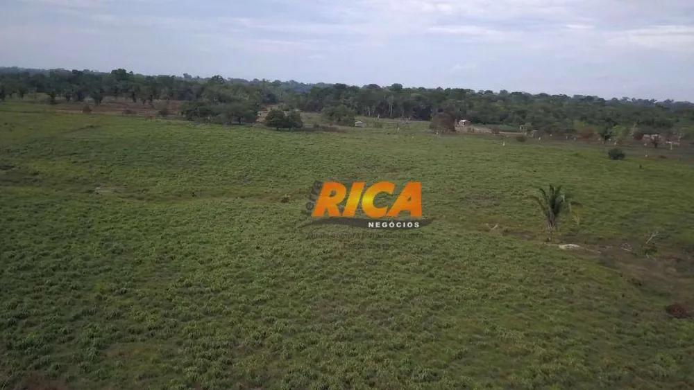 Fazenda, 200 hectares - Foto 15