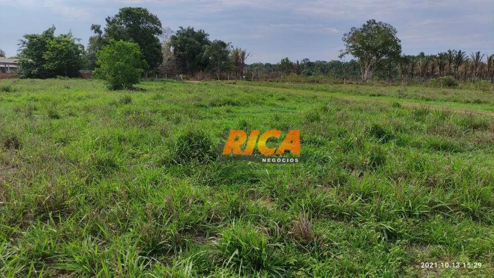 Fazenda, 200 hectares - Foto 7