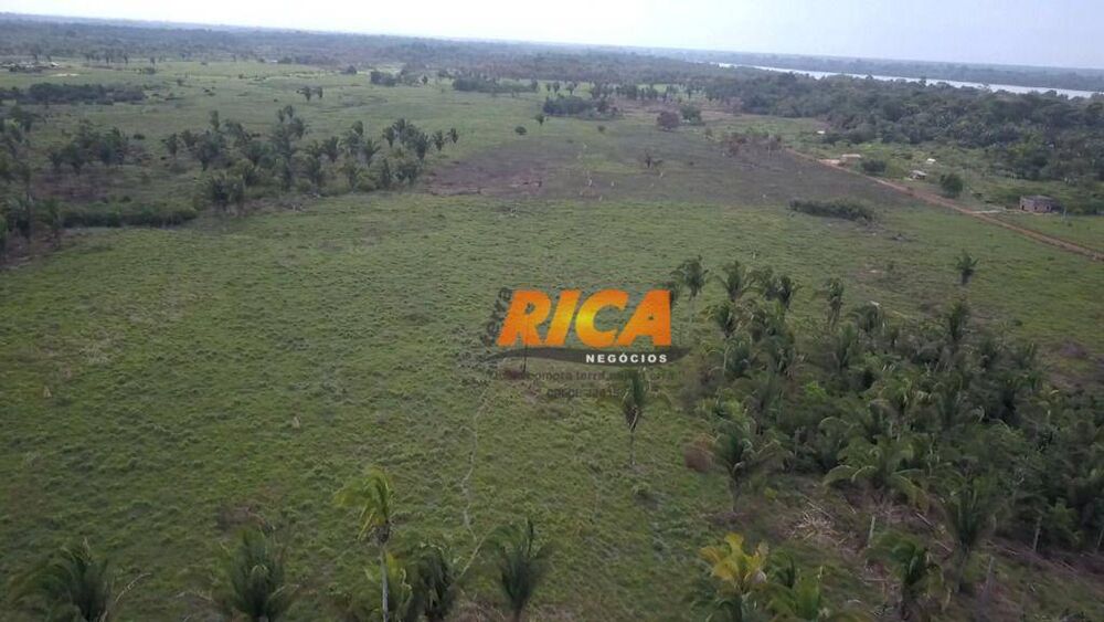 Fazenda, 200 hectares - Foto 4