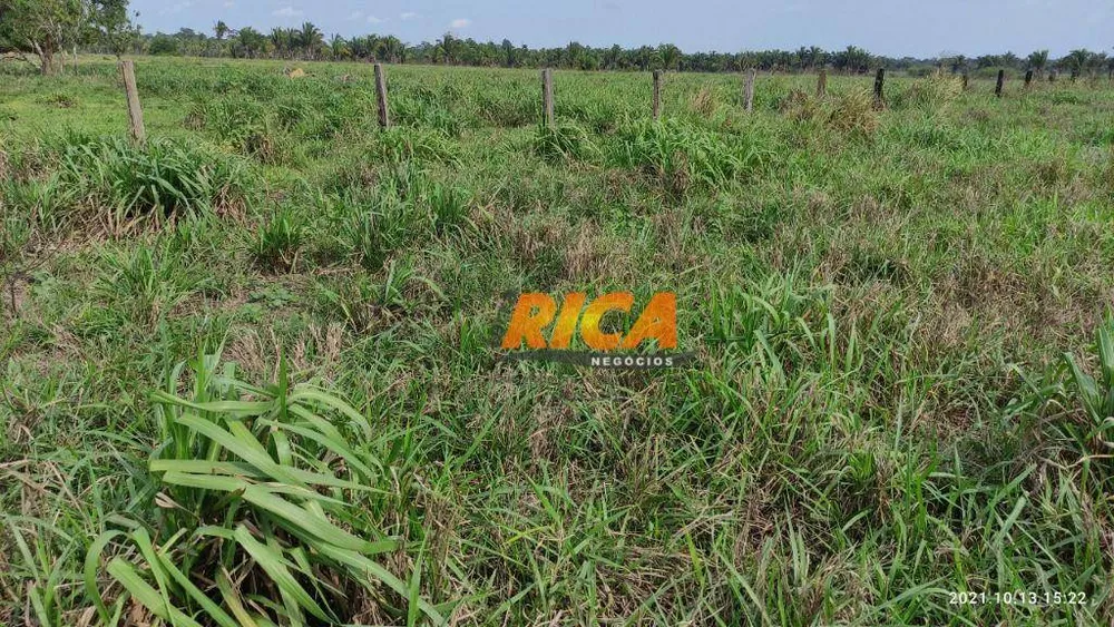 Fazenda, 200 hectares - Foto 7