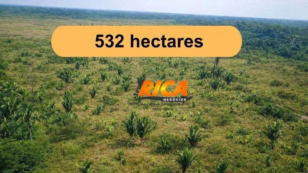 Fazenda, 532 hectares - Foto 2