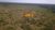 Fazenda, 532 hectares - Foto 2