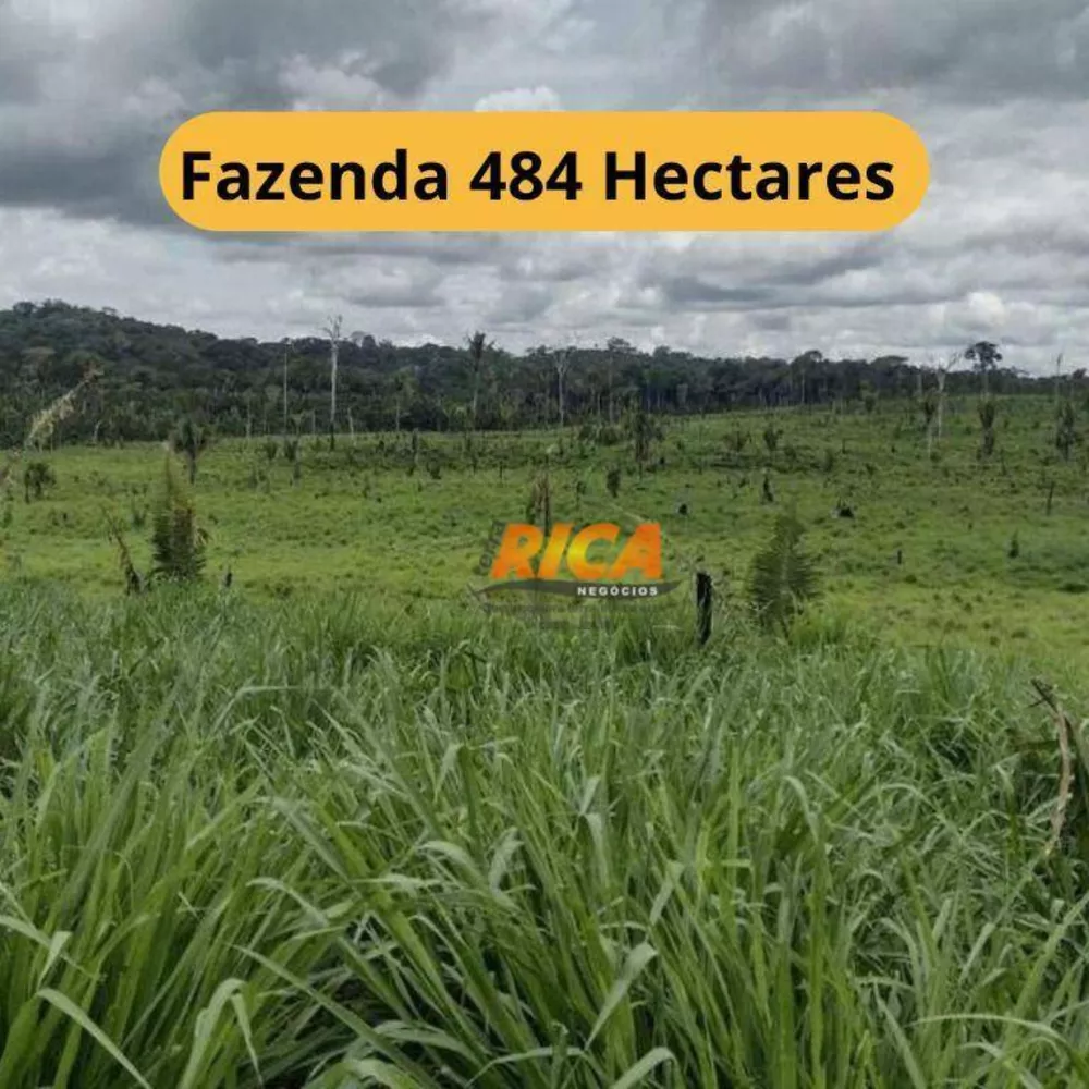 Fazenda, 484 hectares - Foto 1