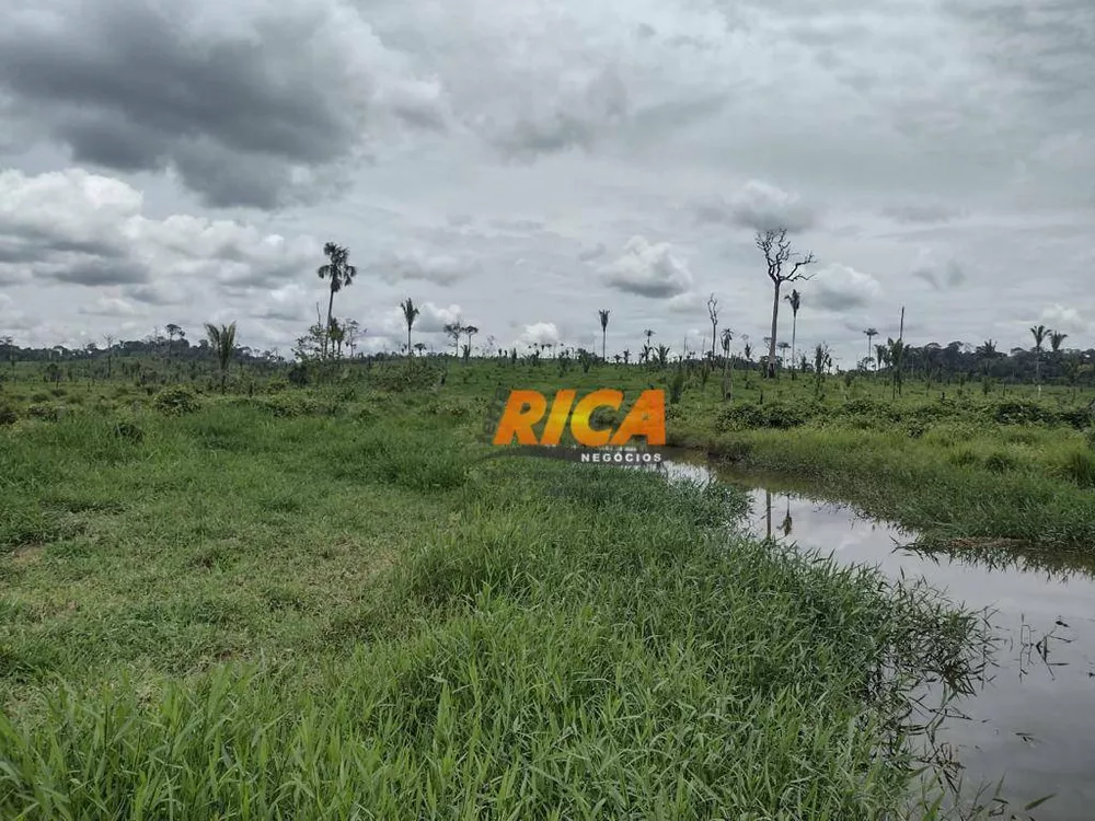 Fazenda, 484 hectares - Foto 5