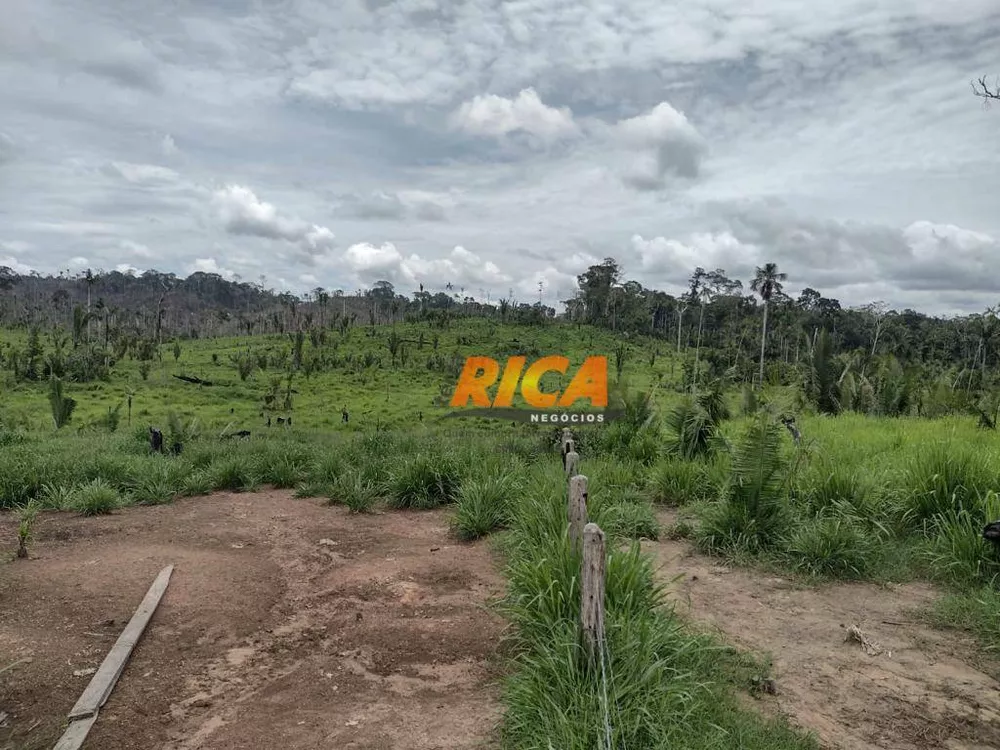 Fazenda, 484 hectares - Foto 7