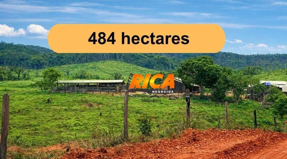 Fazenda, 484 hectares - Foto 11