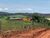 Fazenda-Sítio-Chácara, 484 hectares - Foto 2