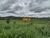 Fazenda-Sítio-Chácara, 484 hectares - Foto 3
