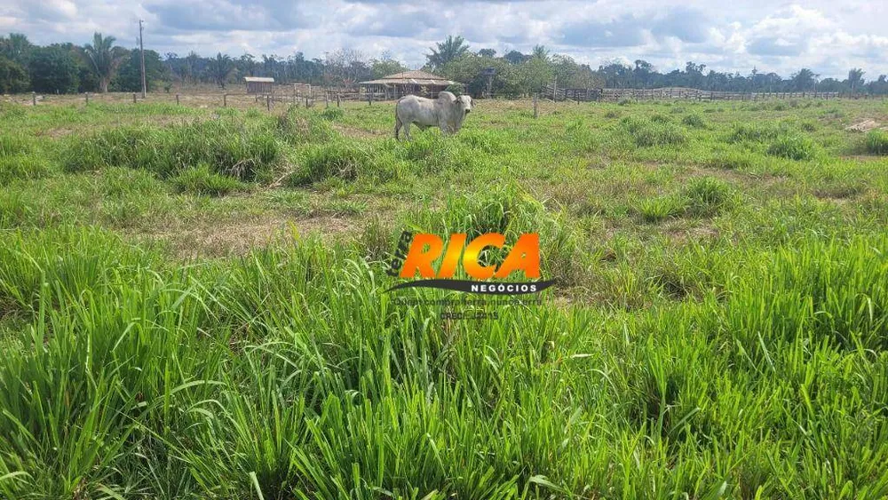 Fazenda, 537 hectares - Foto 6