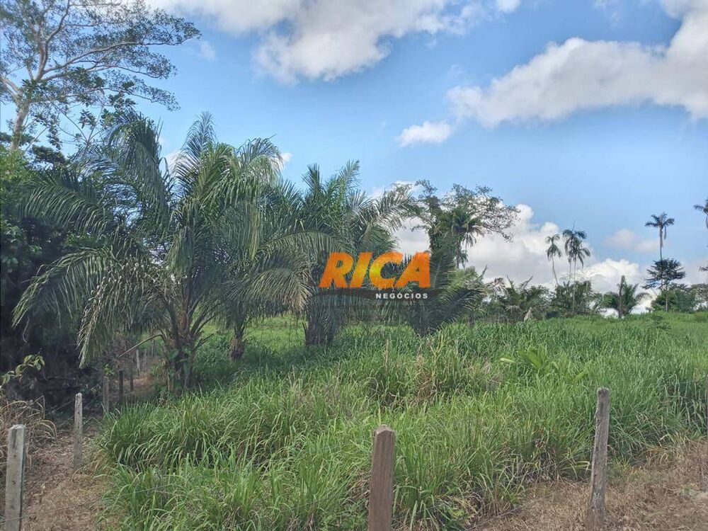 Fazenda, 453 hectares - Foto 2