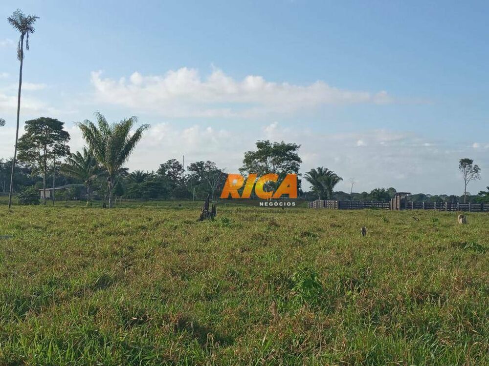 Fazenda, 453 hectares - Foto 16