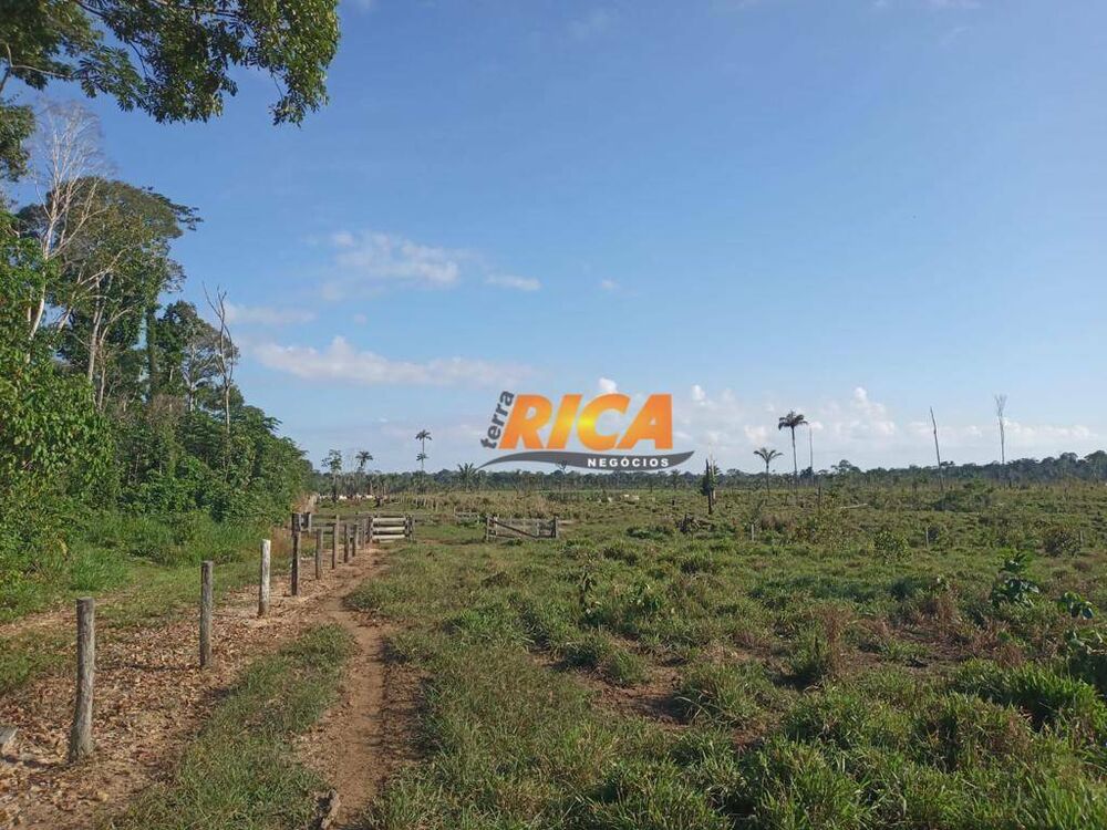 Fazenda, 453 hectares - Foto 6